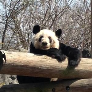 Meet your Posher, Connie