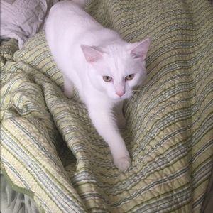 Meet your Posher, Vanessa