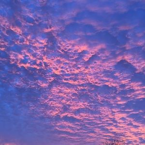 Meet your Posher, Mack