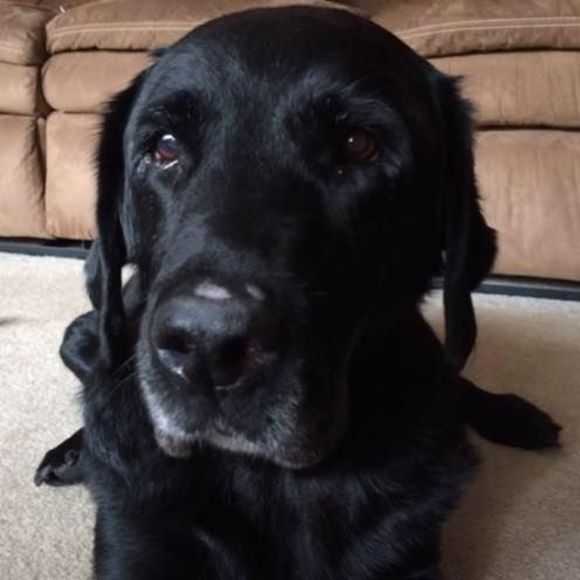 Meet your Posher, Shelly - Picture 1 of 1