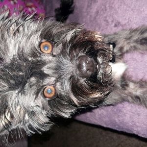 Meet your Posher, Christl