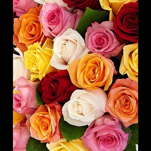 Meet your Posher, JL - Picture 2 of 3