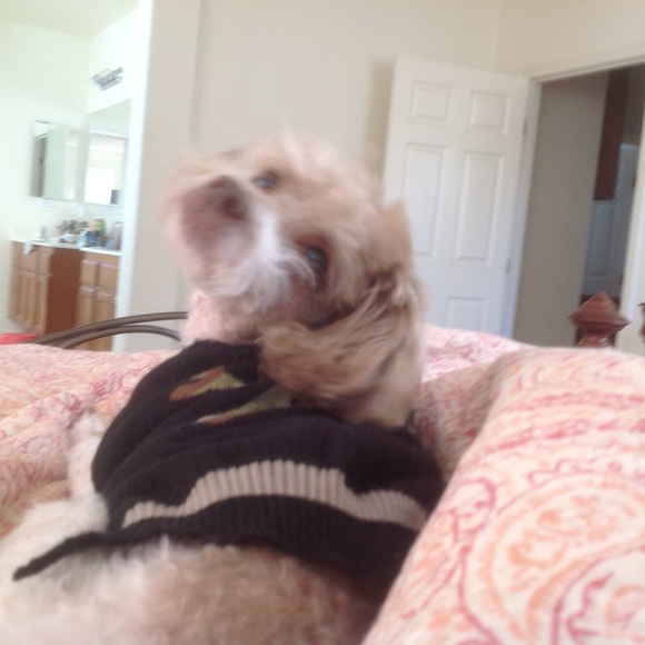 Meet your Posher, JL - Picture 3 of 3