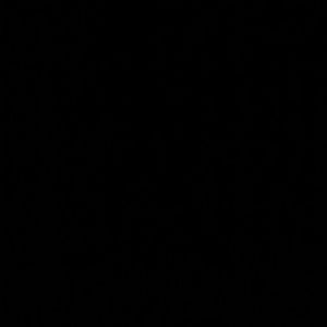 Meet your Posher, Aasta