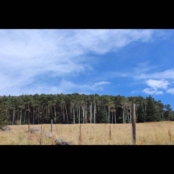 Meet your Posher, Kylee - Picture 1 of 1