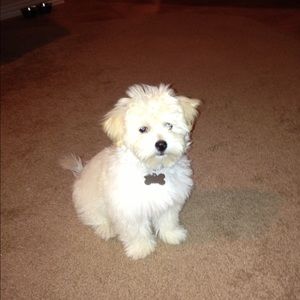 Meet your Posher, Elizabeth