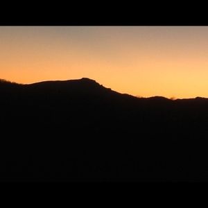 Meet your Posher, Martha