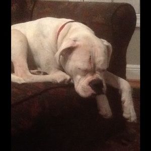 Meet your Posher, Leslie