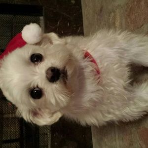 Meet your Posher, Aimee