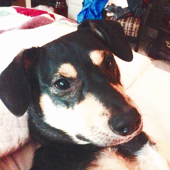 Meet your Posher, Tonya - Picture 1 of 1