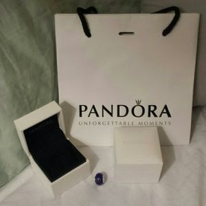 1 Pandora gift bag, empty charm boxes, 1 charm