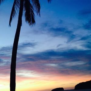 Meet your Posher, Sydney