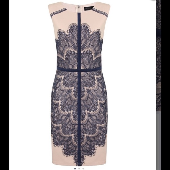 NEW Nude and Navy Lace sheath cocktail dress