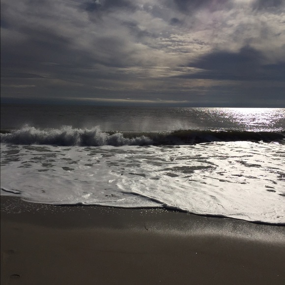 Meet your Posher, Bella