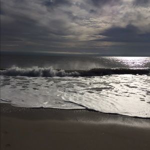 Meet your Posher, Bella