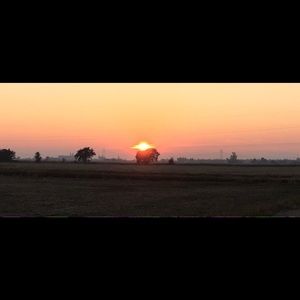 Meet your Posher, Laurie