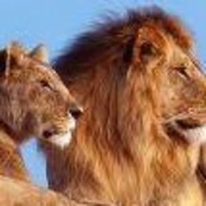 Meet your Posher, Stanicia