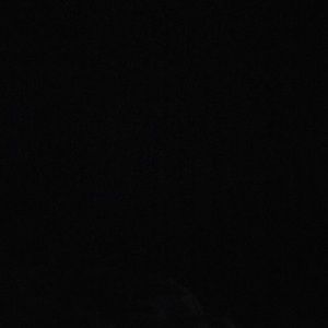 Meet your Posher, Jocilyn