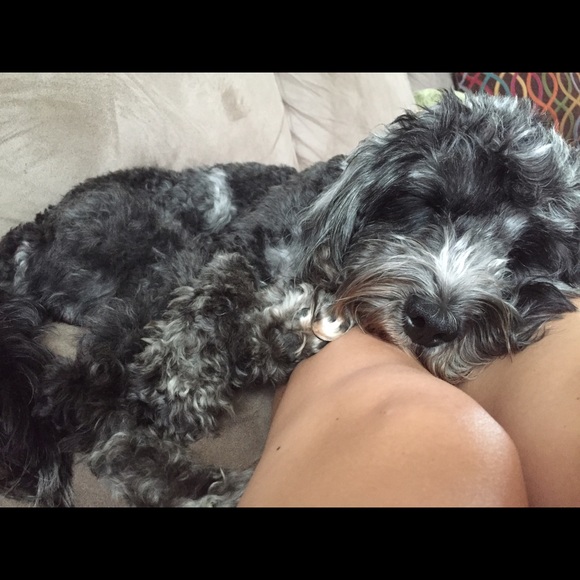 Meet your Posher, Brett - Picture 3 of 3