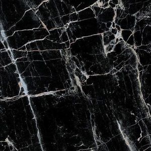 Meet your Posher, Abigail