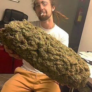Meet your Posher, Trippy
