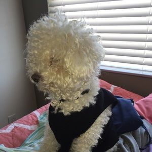 Meet your Posher, Taneisha