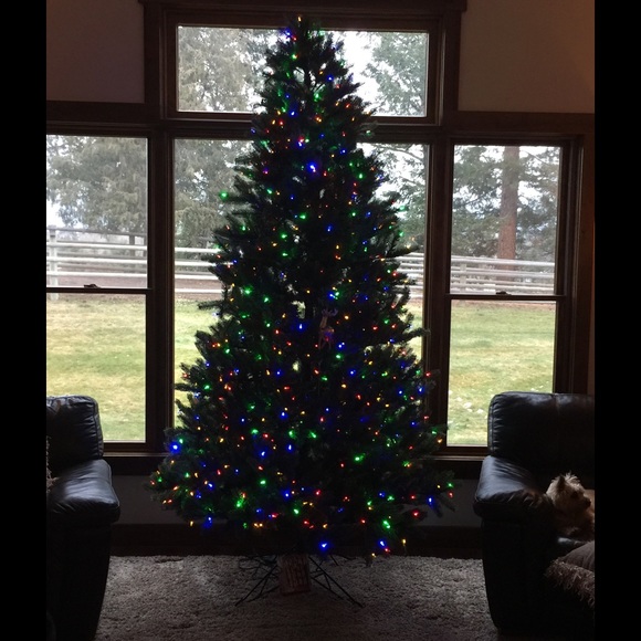 Meet your Posher, Shannon - Picture 1 of 1