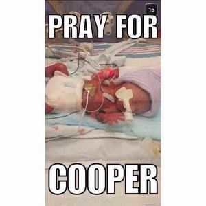 Meet your Posher, Mireka