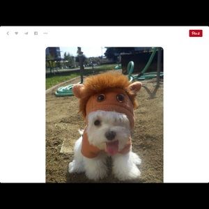 Meet your Posher, Alma