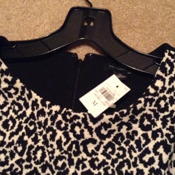 💝 Ann Taylor Animal Print Sweater - Picture 4 of 4
