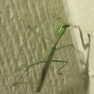 Meet your Posher, Ogechi