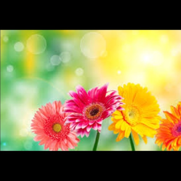 Meet your Posher, Magen - Picture 1 of 1