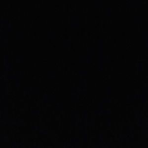 Meet your Posher, Selena