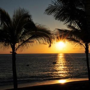 Meet your Posher, Lucy