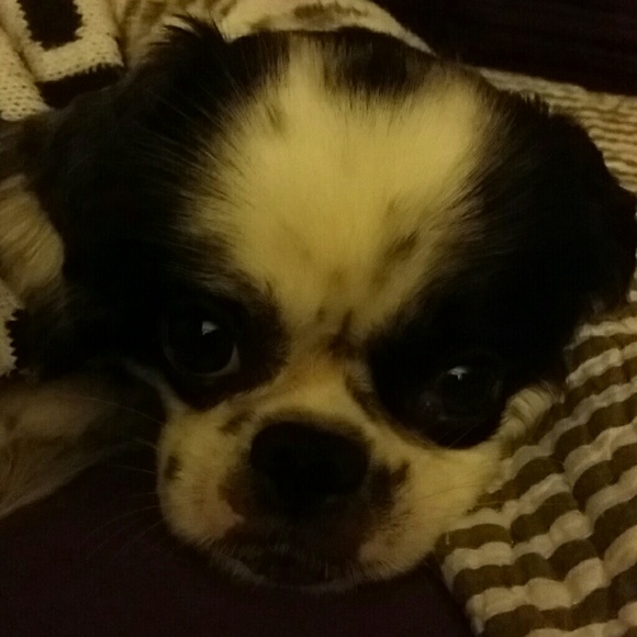 Meet your Posher, Lynn