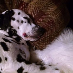 Meet your Posher, Mary