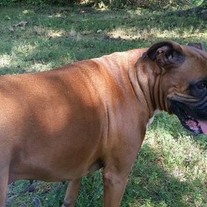 Meet your Posher, Ann