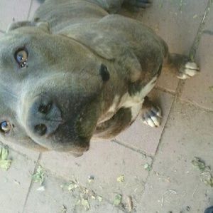 Meet your Posher, Ruben