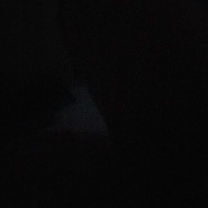 Meet your Posher, Tai