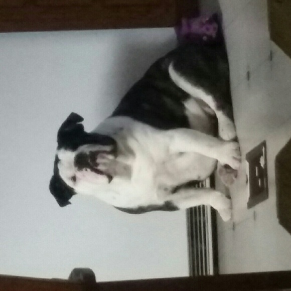 Meet your Posher, April - Picture 1 of 1