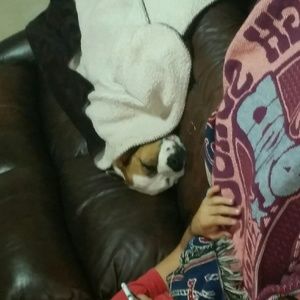 Meet your Posher, Kelly