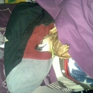 Meet your Posher, Brandon