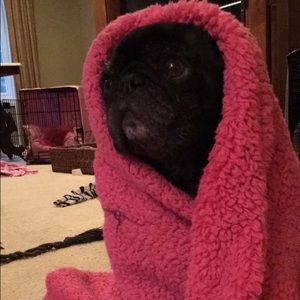 Meet your Posher, Tori