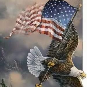 Meet your Posher, Bonita