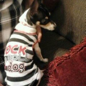 Meet your Posher, Linda