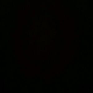 Meet your Posher, Toni