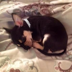 Meet your Posher, Heather