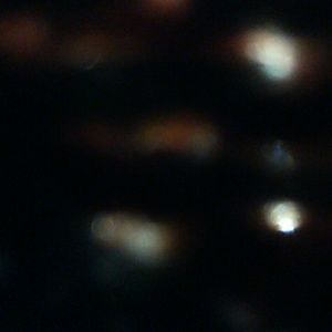 Meet your Posher, Jordana