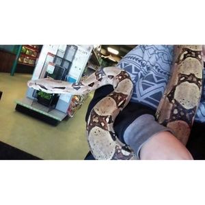 Meet your Posher, Alison