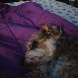 Meet your Posher, Lydia